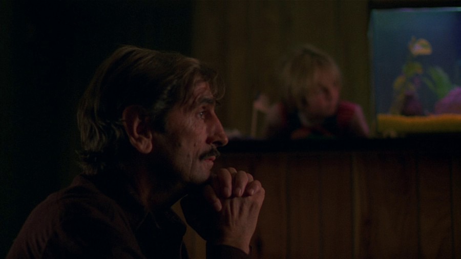 Screen capture from Paris, Texas