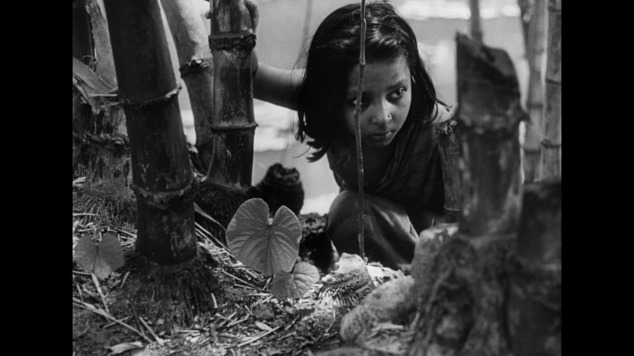 Screen capture from Pather Panchali