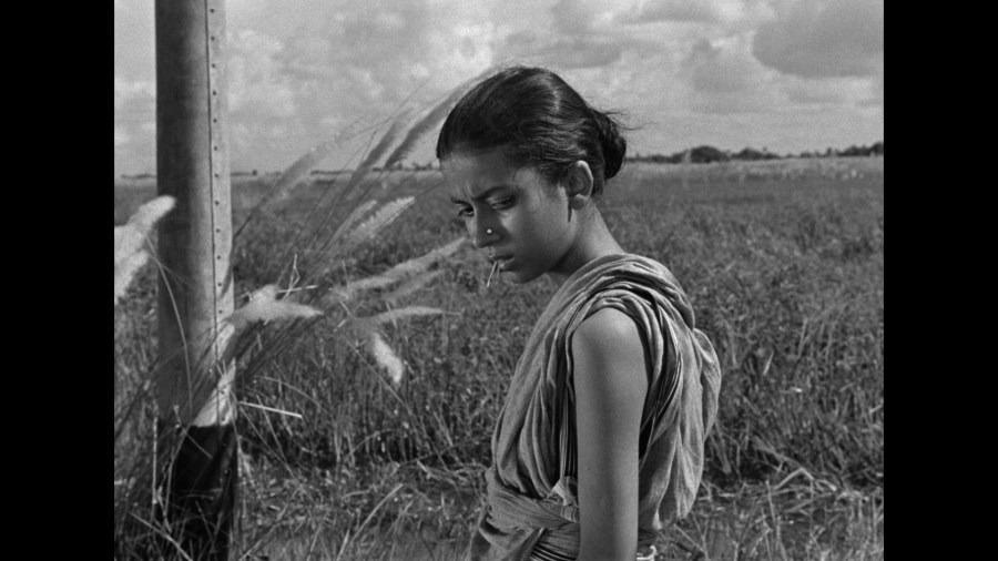 Screen capture from Pather Panchali