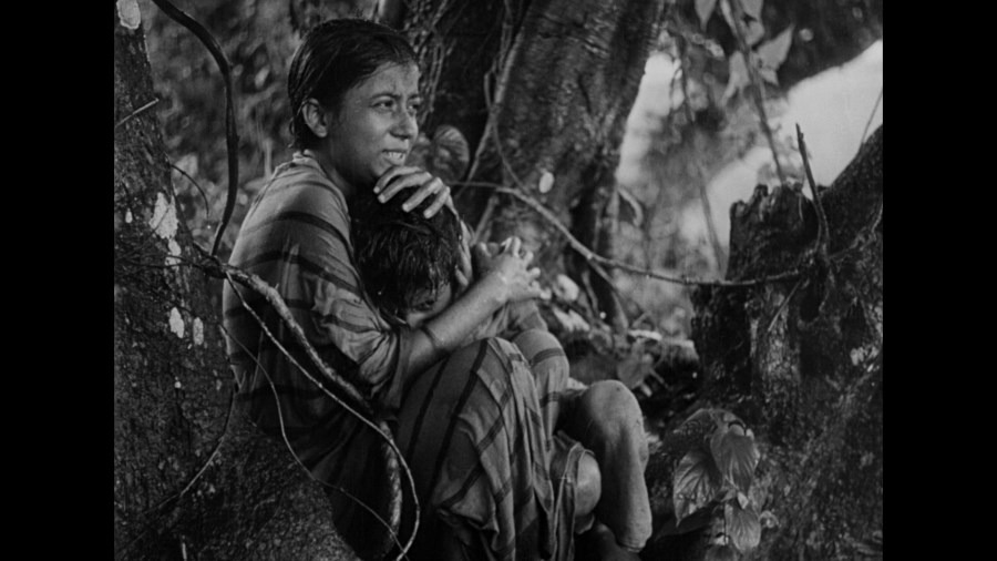 Screen capture from Pather Panchali