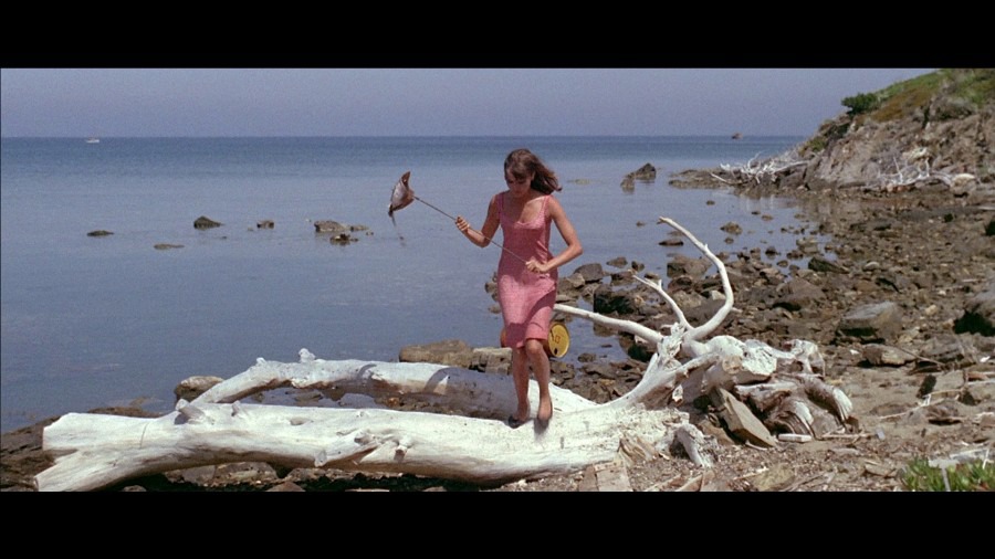 Screen capture from Pierrot le fou