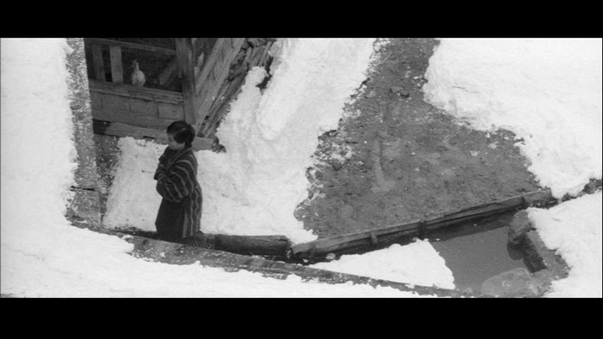Screen capture from Pigs, Pimps & Prostitutes: 3 Films by Shohei Imamura