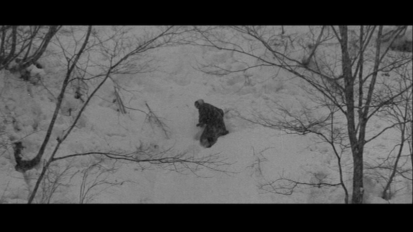 Screen capture from Pigs, Pimps & Prostitutes: 3 Films by Shohei Imamura