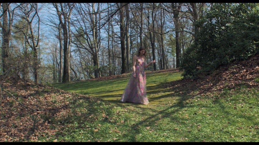 Screen capture from Pina