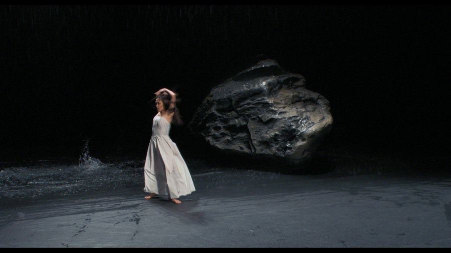 Screen capture from Pina
