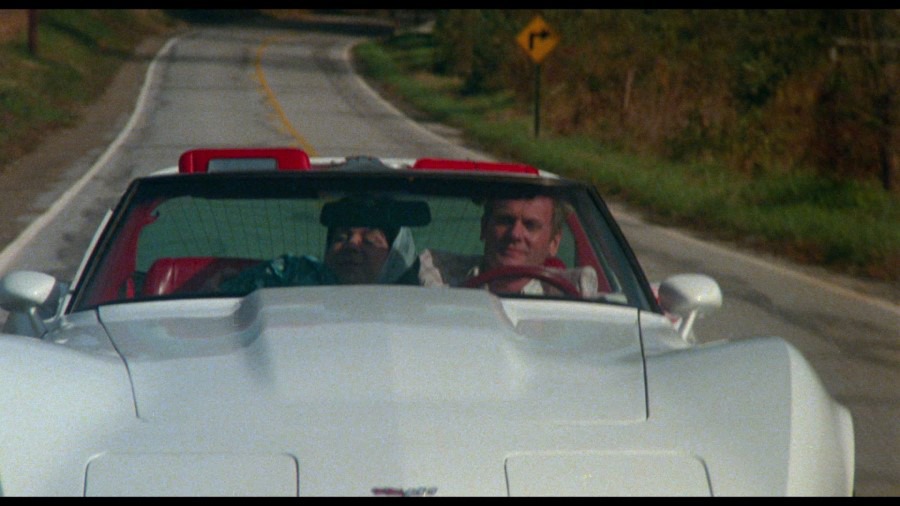 Screen capture from Polyester