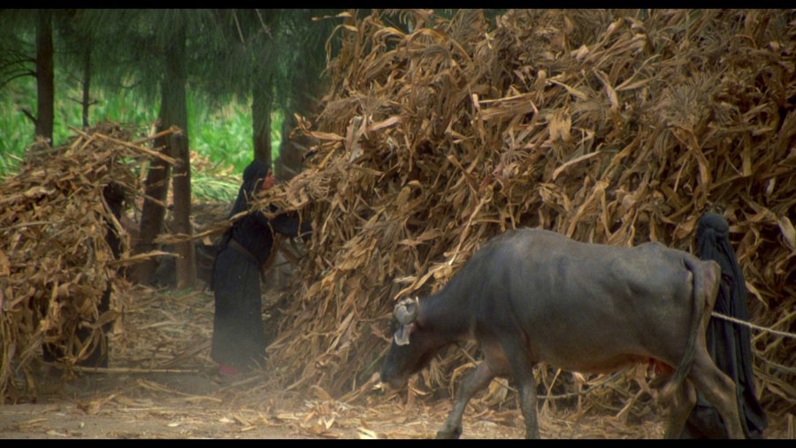 Screen capture from Powaqqatsi