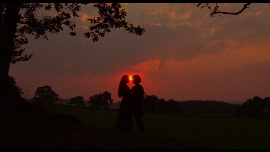 Screen capture from The Princess Bride