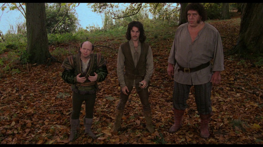 Screen capture from The Princess Bride