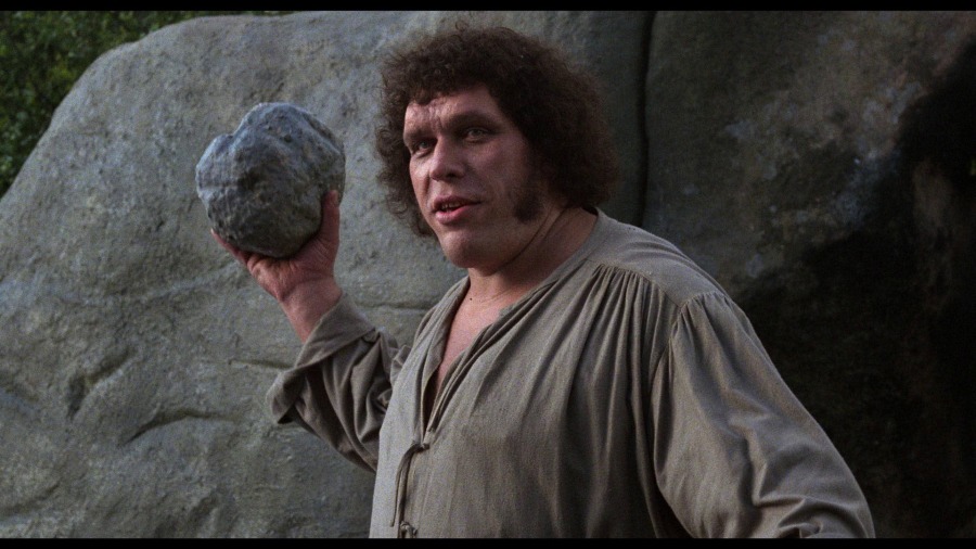 Screen capture from The Princess Bride