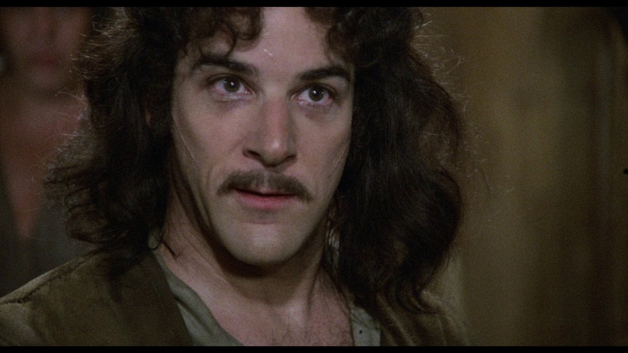 Screen capture from The Princess Bride
