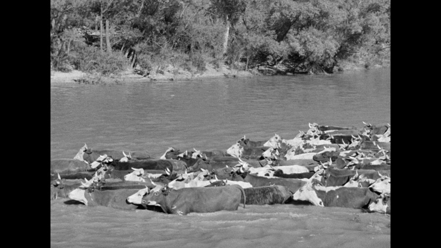 Screen capture from Red River
