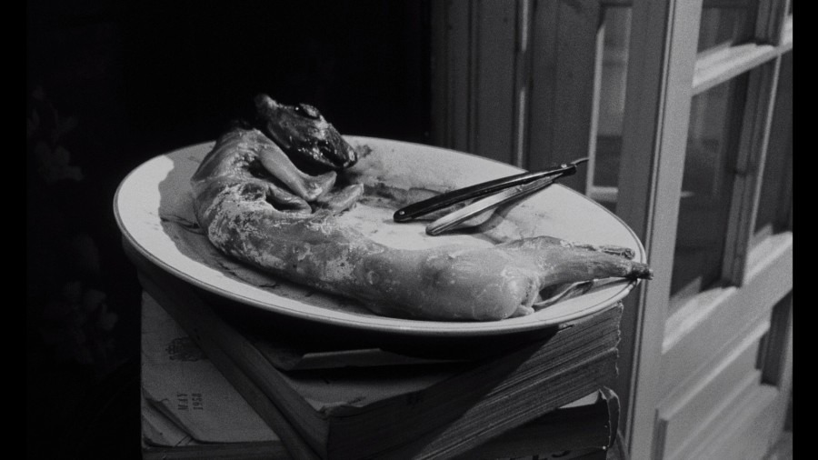 Screen capture from Repulsion