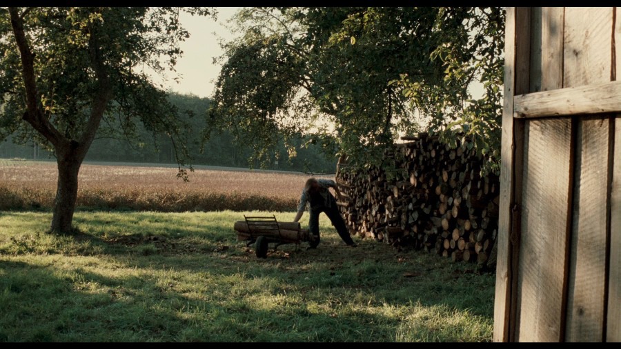 Screen capture from Revanche