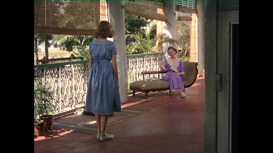 Screen capture from The River