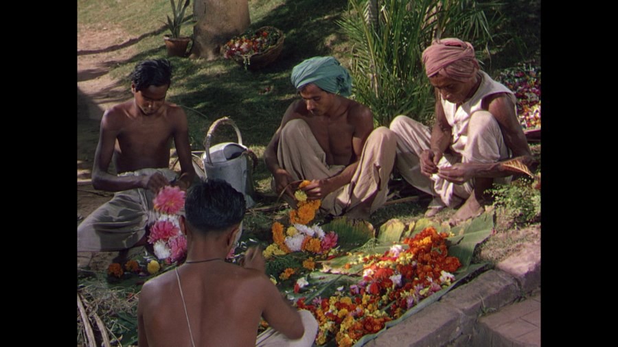 Screen capture from The River