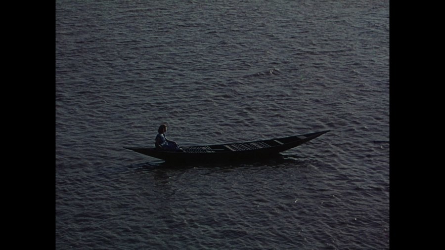 Screen capture from The River