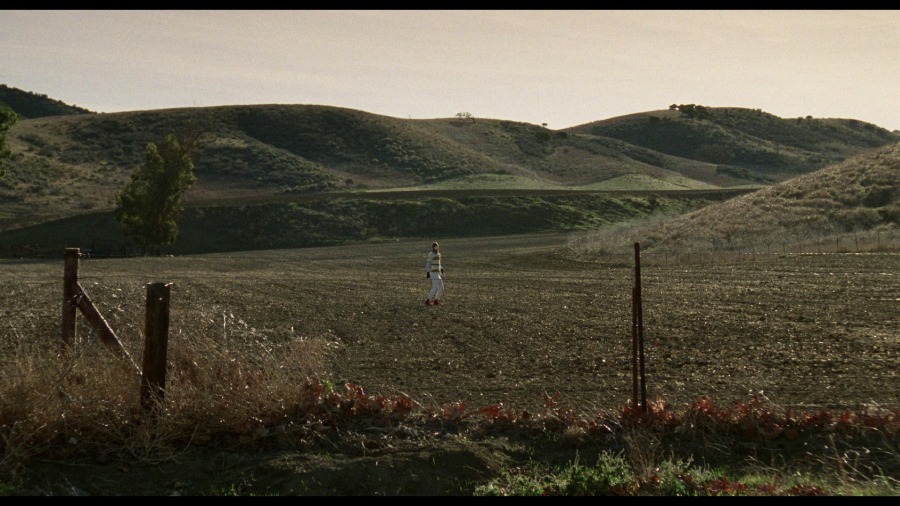 Screen capture from Safe