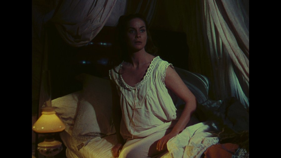 Screen capture from Senso