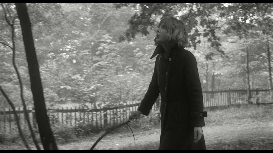 Screen capture from Separation