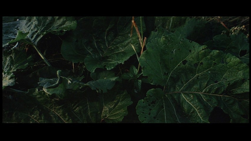 Screen capture from Solaris