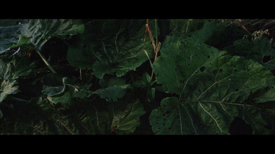 Screen capture from Solaris
