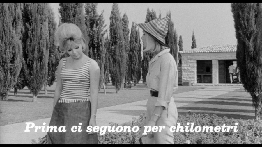 Screen capture from Il sorpasso
