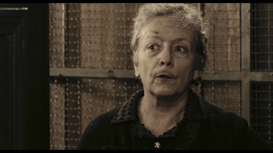Screen capture from A Special Day