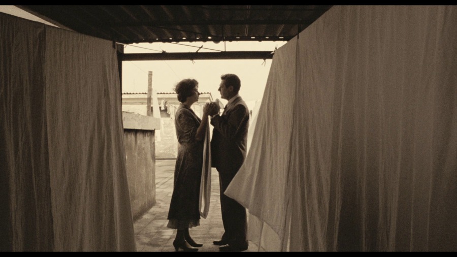 Screen capture from A Special Day
