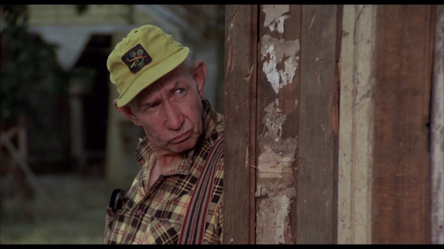 Screen capture from Squirm