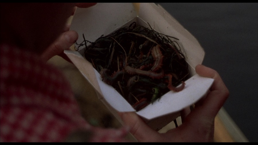 Screen capture from Squirm