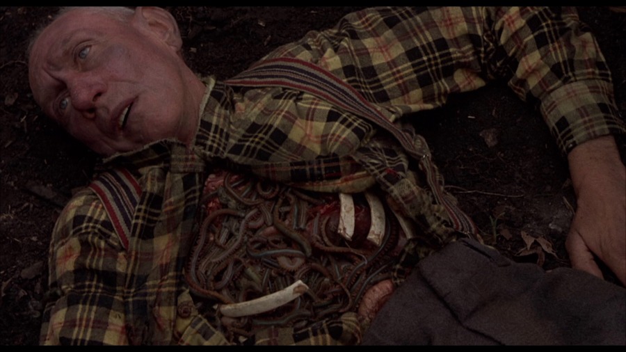 Screen capture from Squirm