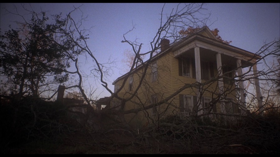 Screen capture from Squirm