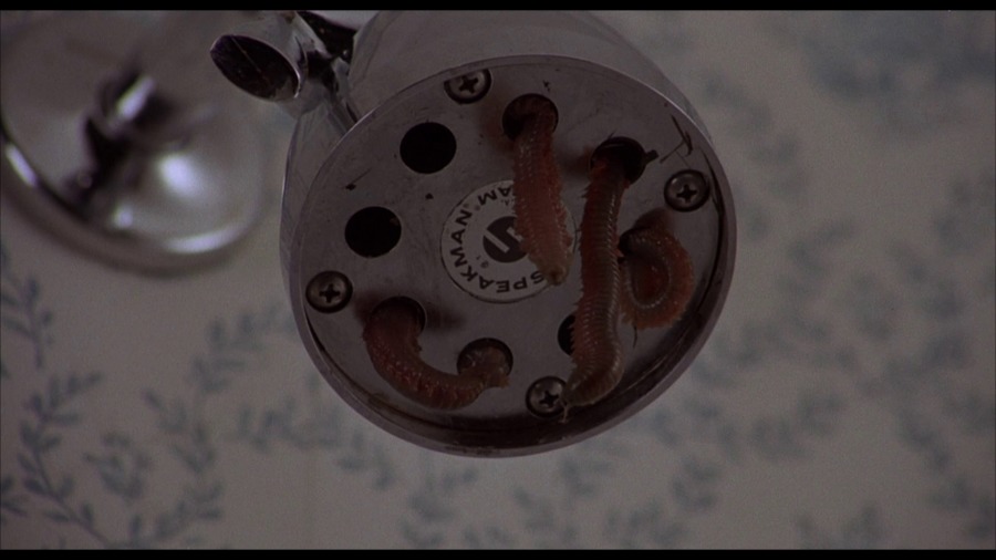 Screen capture from Squirm