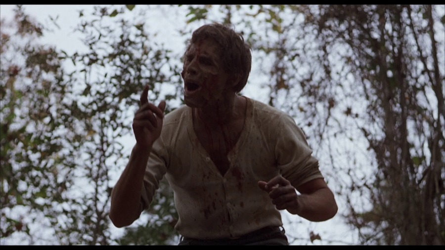 Screen capture from Squirm