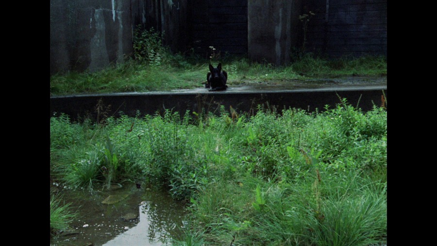 Screen capture from Stalker