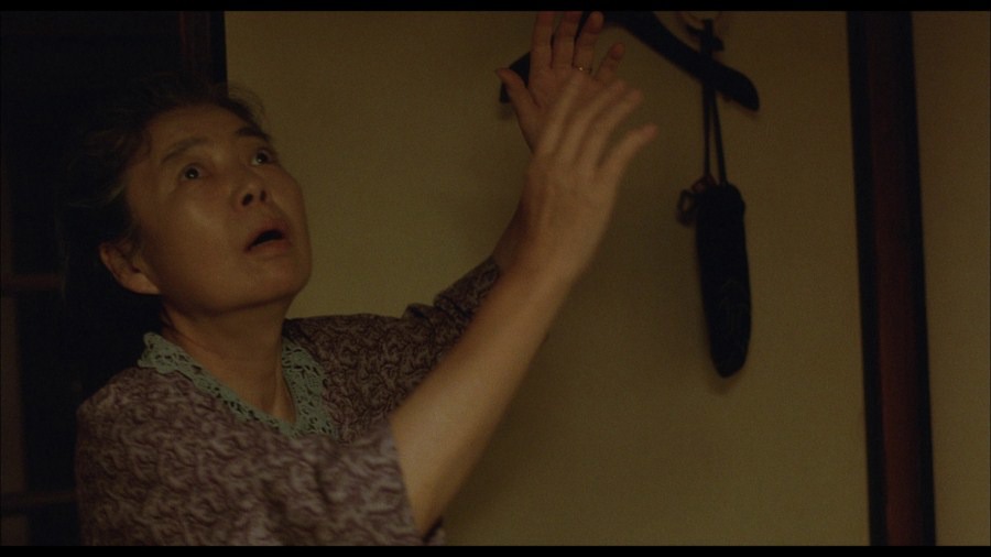 Screen capture from Still Walking