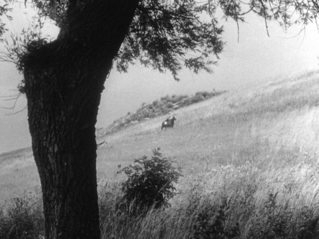 Screen capture from Smiles of Summer Night