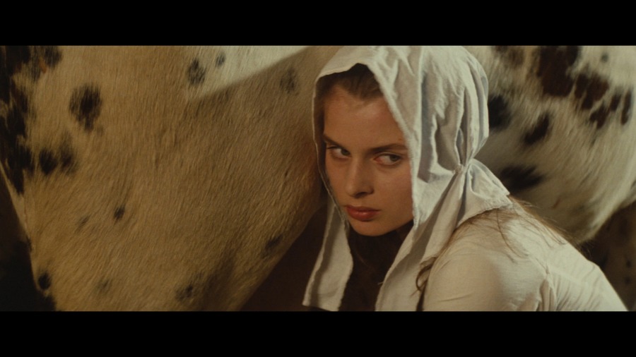 Screen capture from Tess