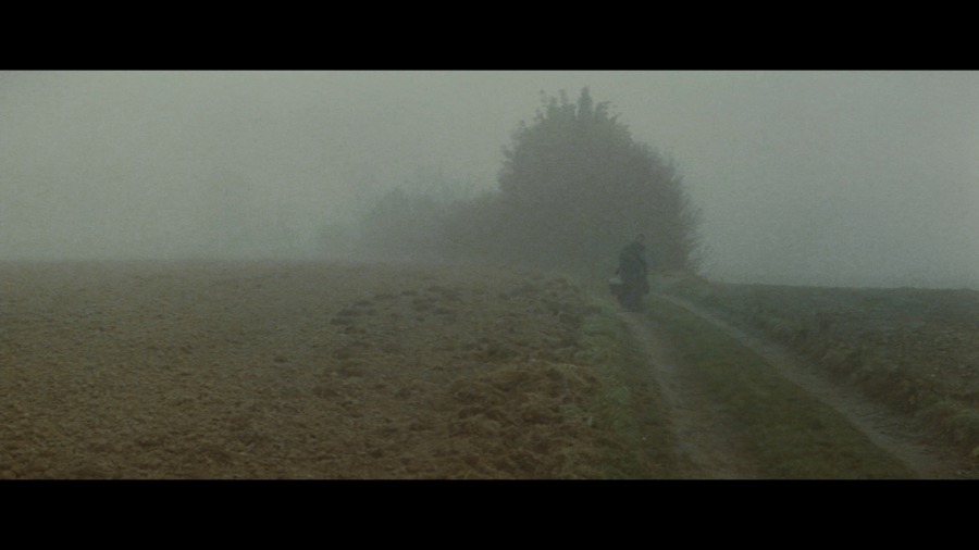 Screen capture from Tess