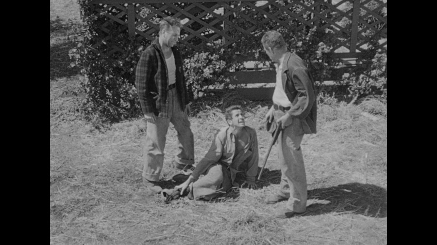 Screen capture from They Live by Night