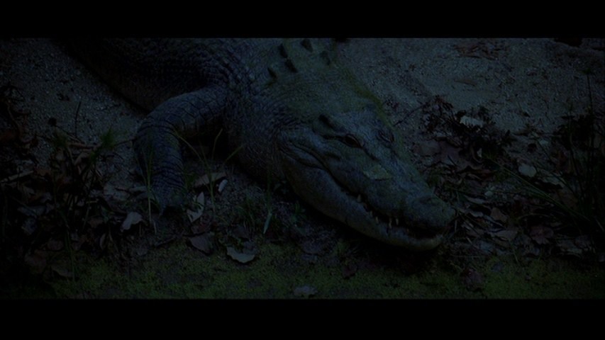 Screen capture from The Thin Red Line