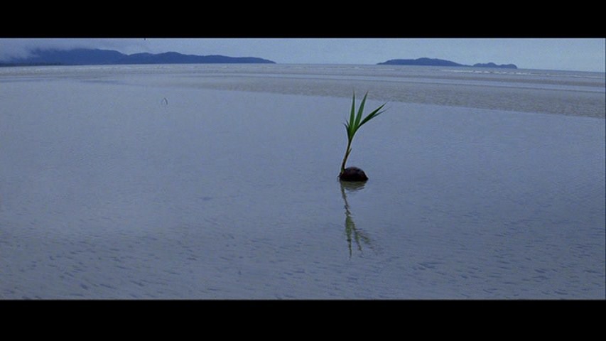 Screen capture from The Thin Red Line