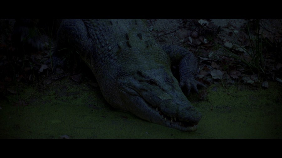 Screen capture from The Thin Red Line