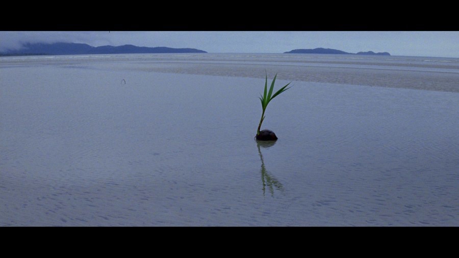Screen capture from The Thin Red Line