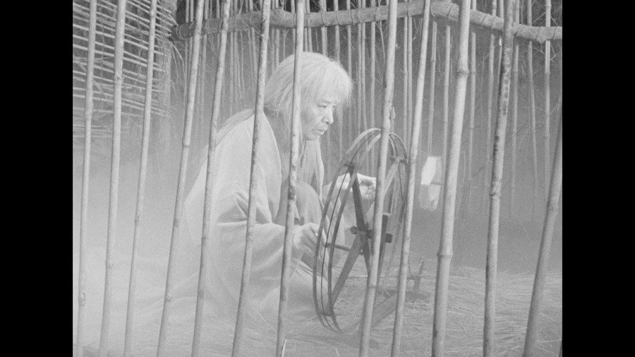 Screen capture from Throne of Blood