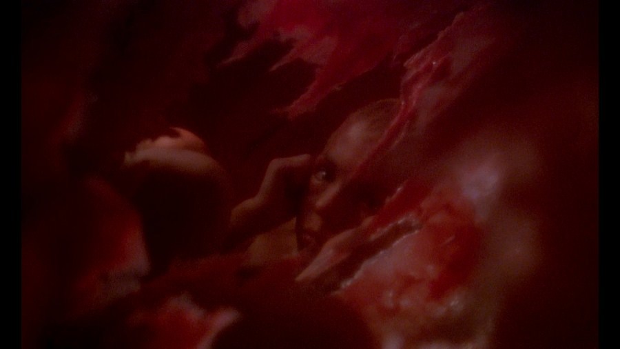 Screen capture from The Tin Drum