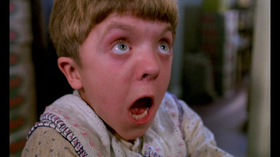 Screen capture from The Tin Drum