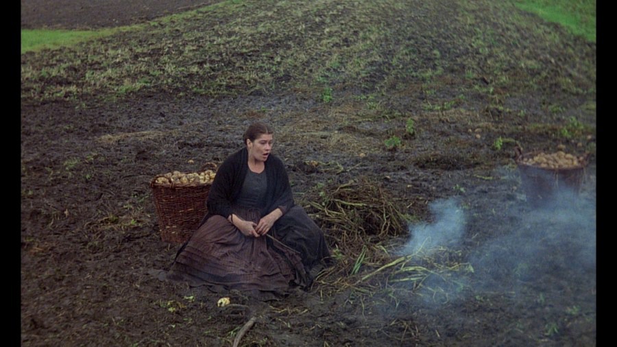 Screen capture from The Tin Drum