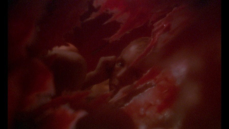 Screen capture from The Tin Drum